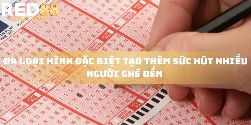 Đa loại hình đặc biệt tạo thêm sức hút nhiều người ghé đến